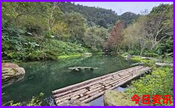 带孩子暑假去哪里旅游